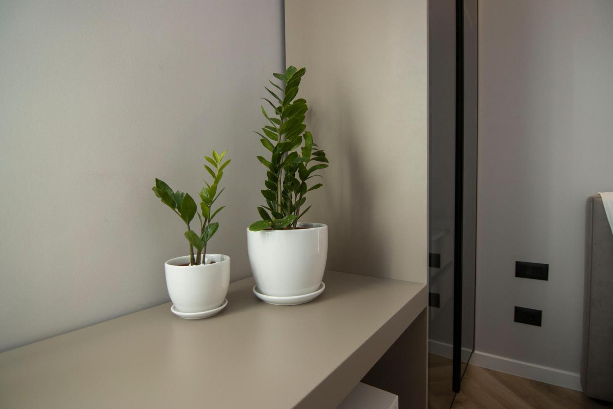 Mina Luxury Rooms Tirana Exterior foto